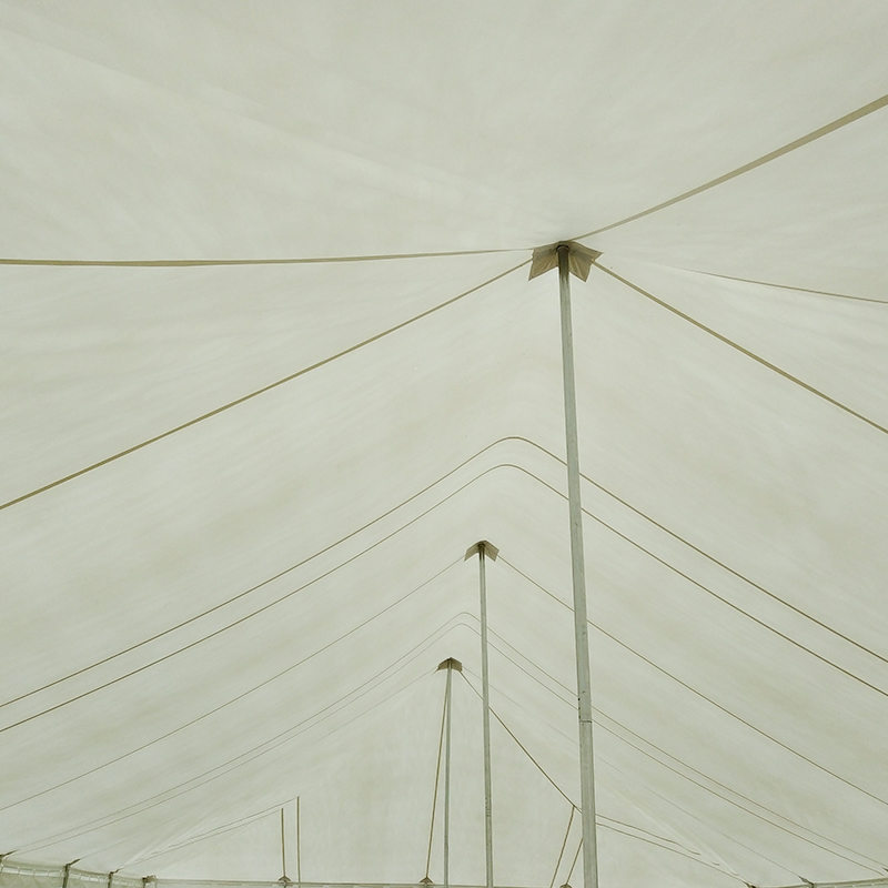 উইন্ডোজ সহ 7X12m ঐতিহ্যবাহী পিভিসি ইভেন্ট পোল তাঁবু